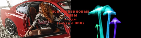 СК Алексин