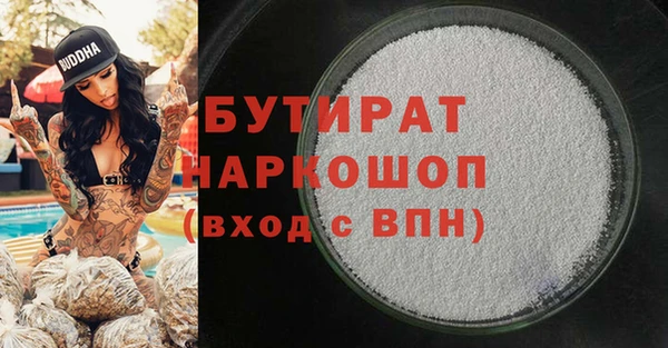 молекула духа Снежногорск