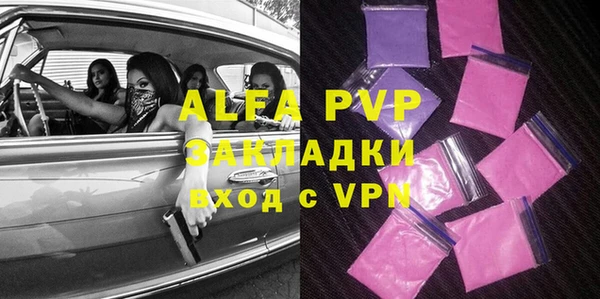 СК Алексин