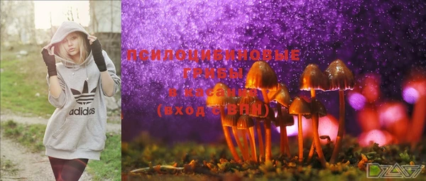 PSILOCYBIN Алексеевка