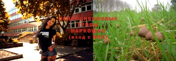 дживик Семилуки
