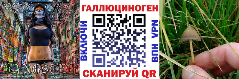 сайты даркнета клад kraken Верхоянск Галлюциногенные грибы Psilocybine cubensis